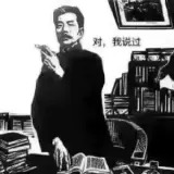 被摆摆丸夺舍的丸老八